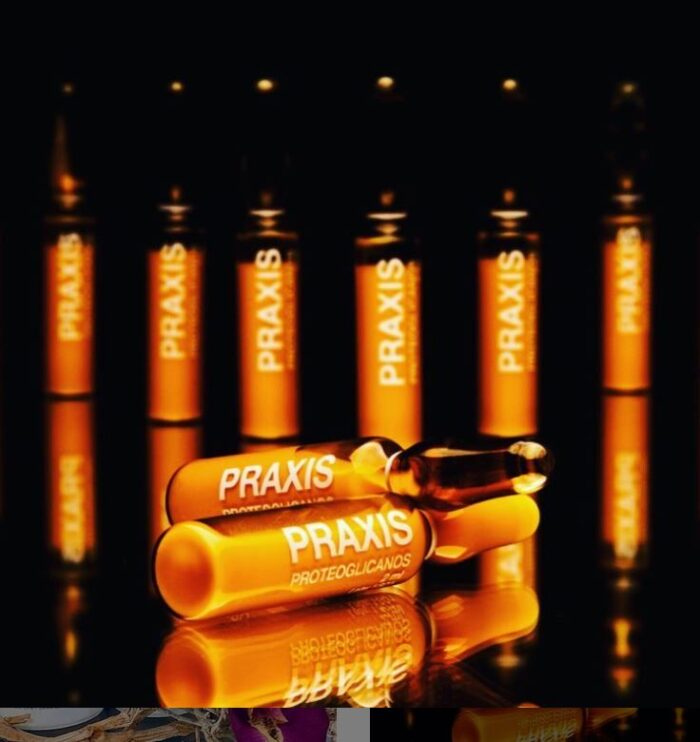 Magiczne Ampułki Praxis Classics Proteoglicanos 24 szt.